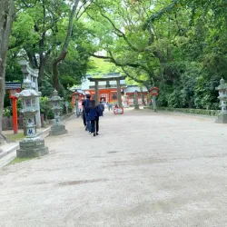 朝参拝ウォーキング